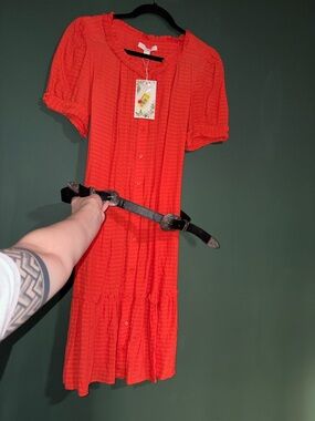 NWT Chelsea & Violet Dress